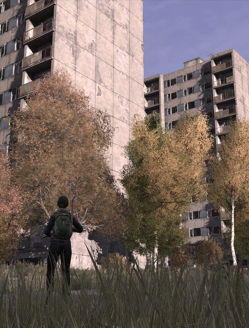 Illustration for article titled ​Photos From The Frontlines of DayZ